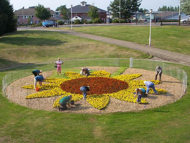 24 hours of flower&nbsp;power…