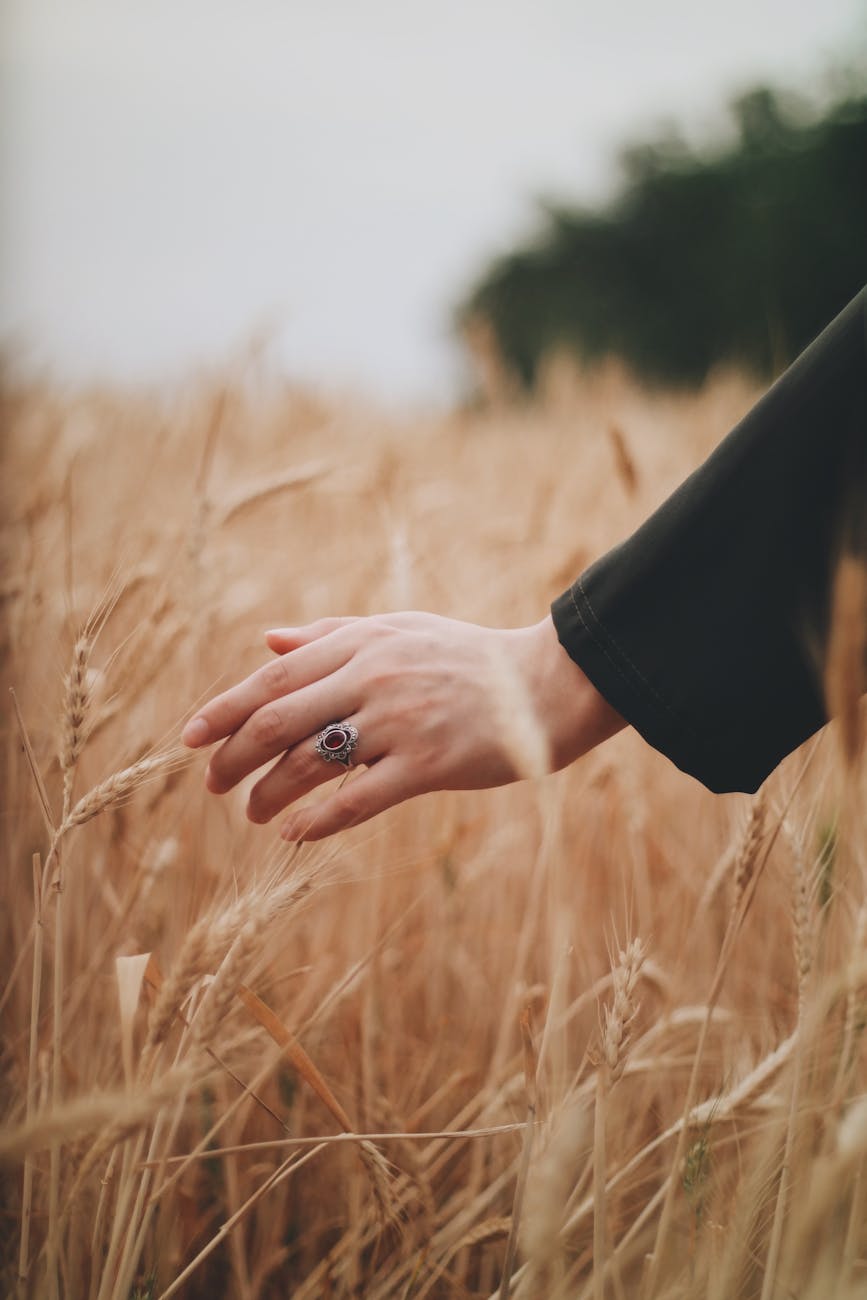 Chapter 7a Plants and the agricultural&nbsp;imperative