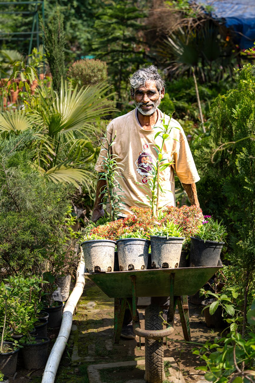 Chapter 8 Health-giving&nbsp;plants
